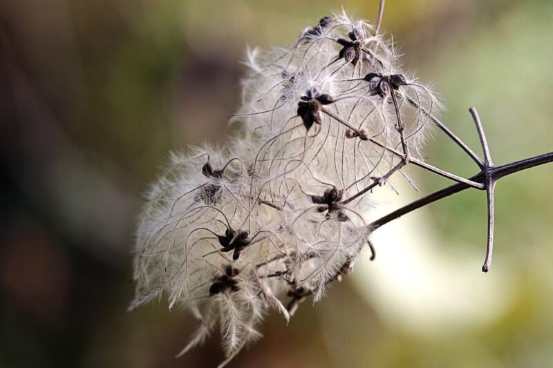 Plotting the Future: How to Create a Comprehensive AI Roadmap