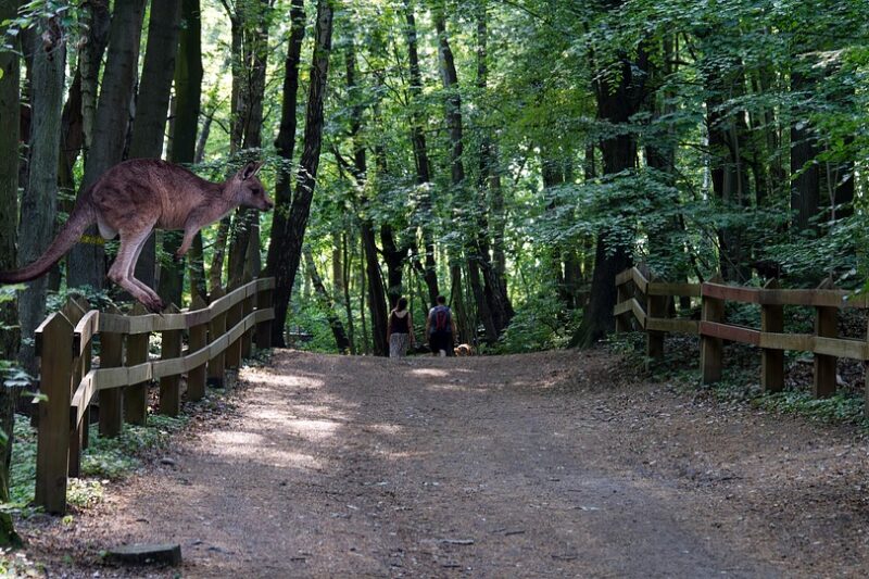 Revolutionizing Publishing: How AI is Changing the Game for Ebook Creation