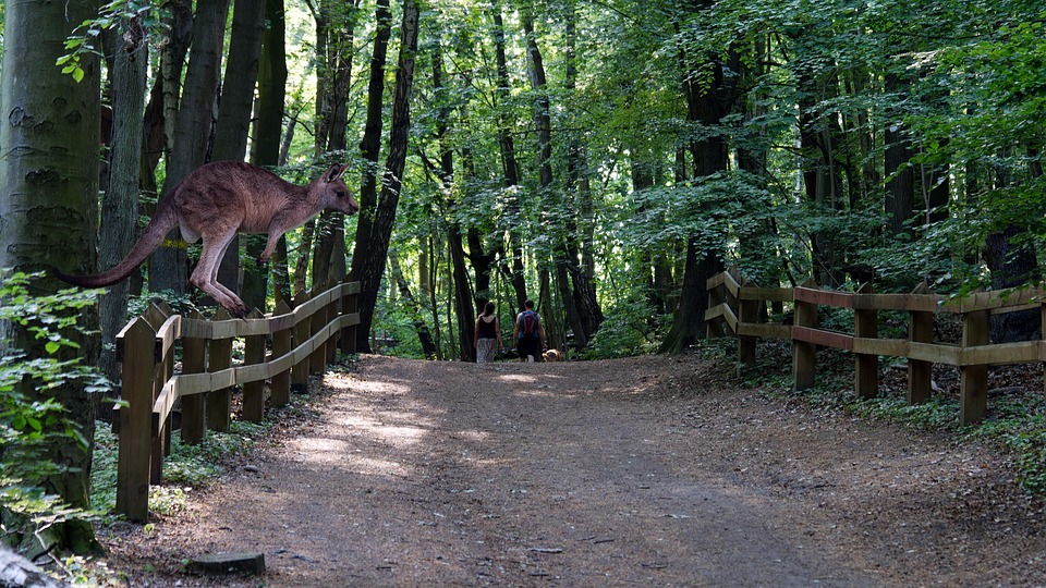 Revolutionizing Publishing: How AI is Changing the Game for Ebook Creation